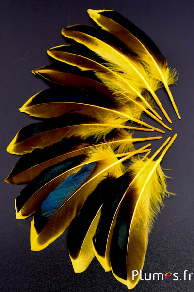 Canard - 8-10 cm - jaune
